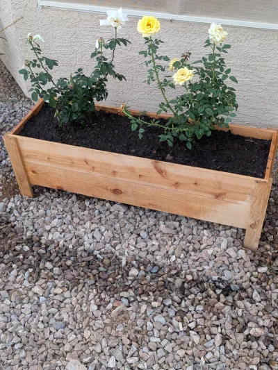 Finished custom cedar outdoor planter bed built in Gilbert