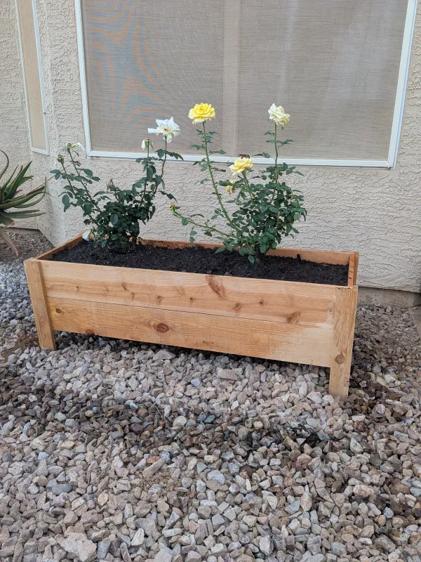 Cedar planter bed detail with plants in a Gilbert yard